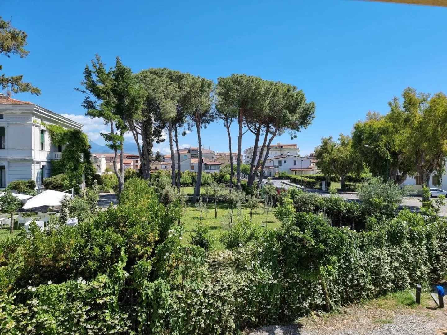 Il giardino del Civico 33 con i pini marittimi e il cielo di Scalea